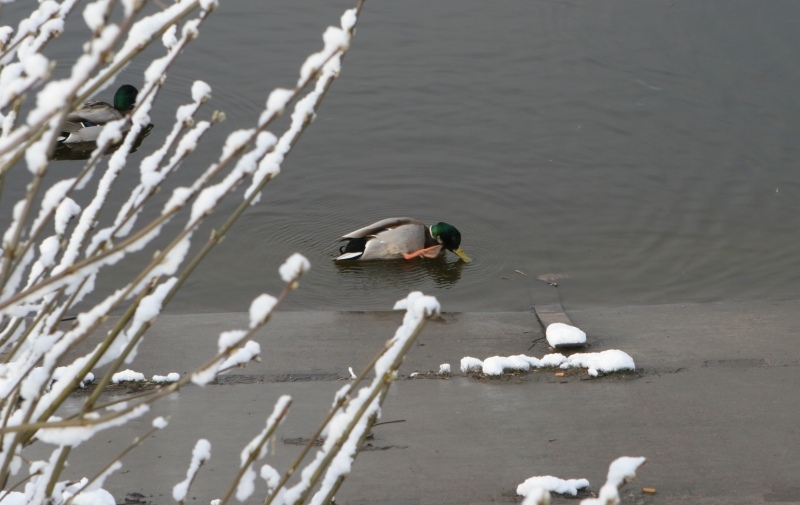 IMG 7064