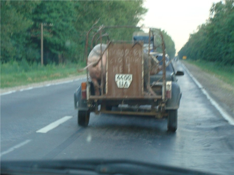 Стопов и поворотов нет.Украина