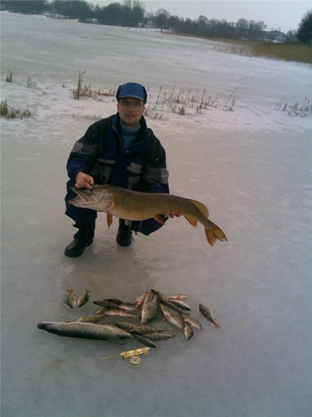 На леску 0,15 щука  8 кг.Дания