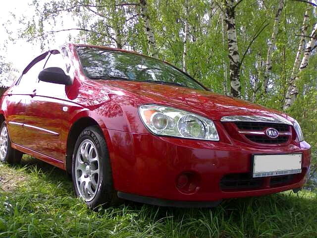 Красная кошка