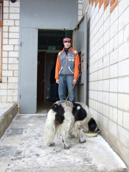 Детский приют Солнышко 5