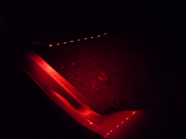 задние двнри.jpg