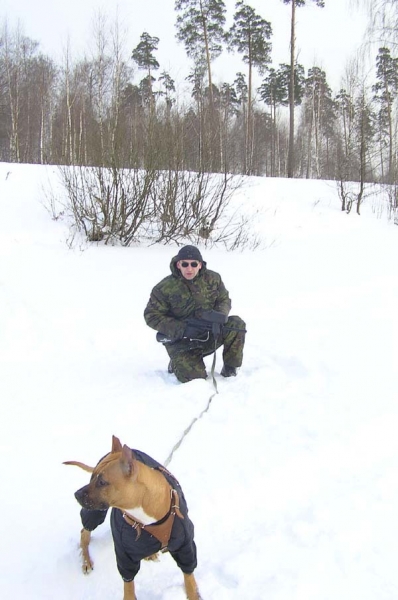 Тренировка в лесу 1