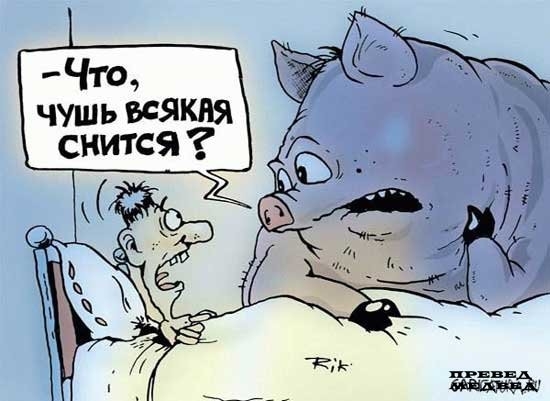 Всякая чушь снится