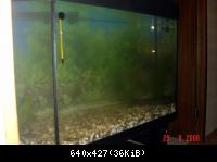 Аквариум 2