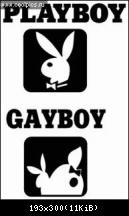 Playboy and Gayboy