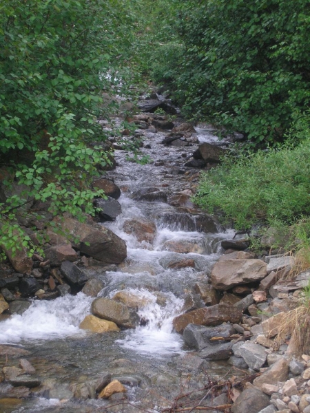 P7040002