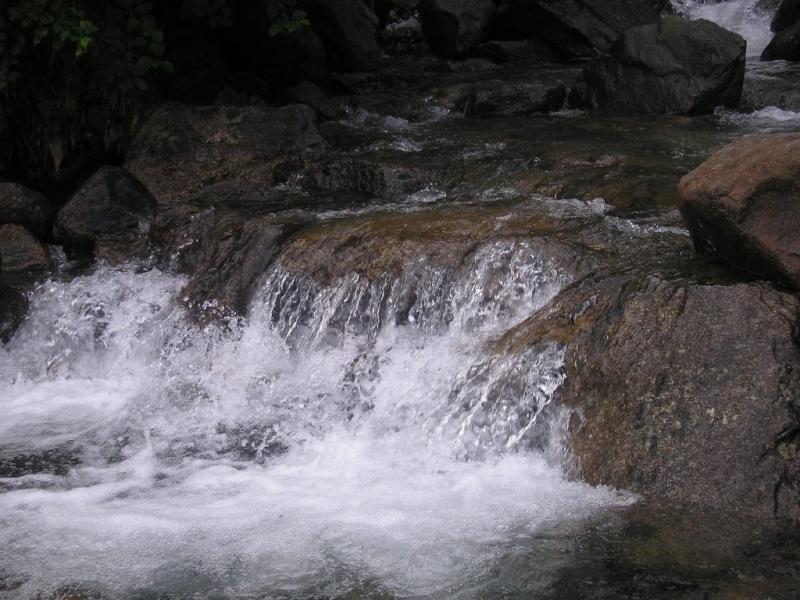 P7040011