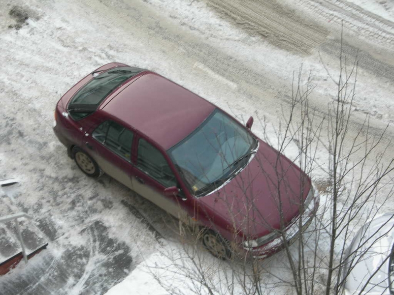 софья львовна 1998 года рождения