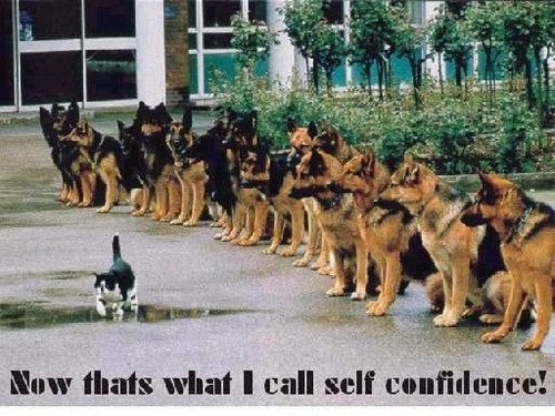 self confidence