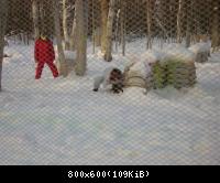 В засаде