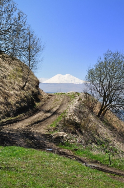 DSC 0375