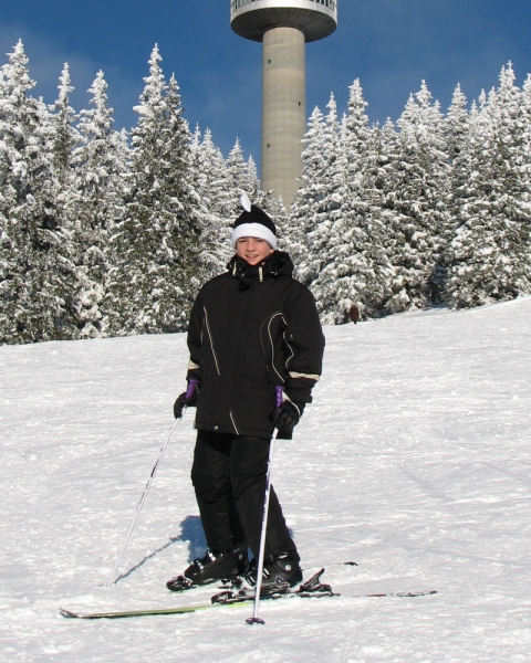 Лыжник-горно