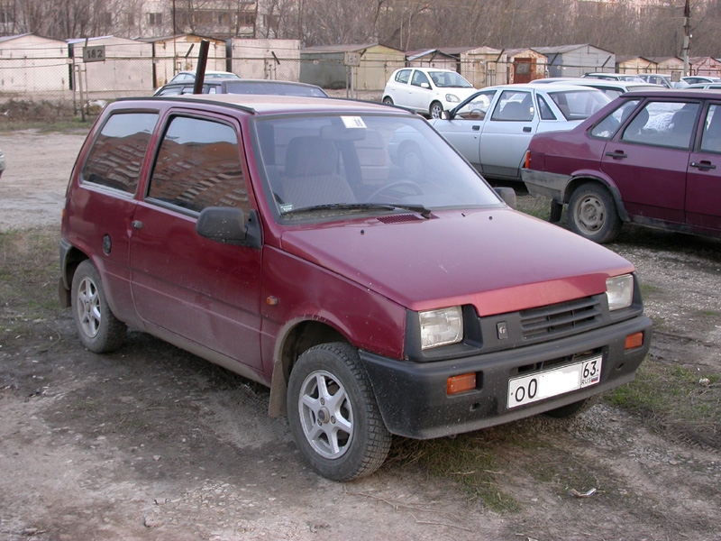 Ока - экстерьер