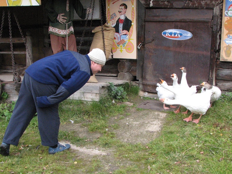 Гаси и Администратор