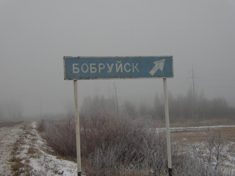 бобр