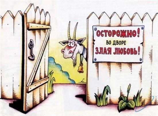 Осторожно любовь!