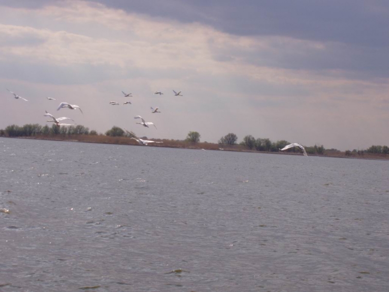 Нарыбалке в апреле на Ахтубе