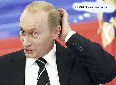 Cerato или что?