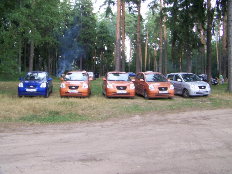 покемошки