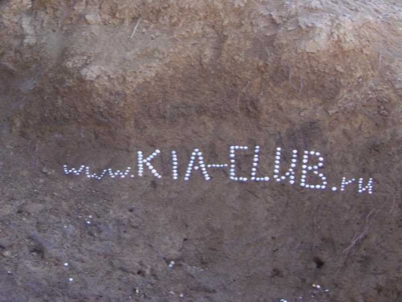 Наш клуб