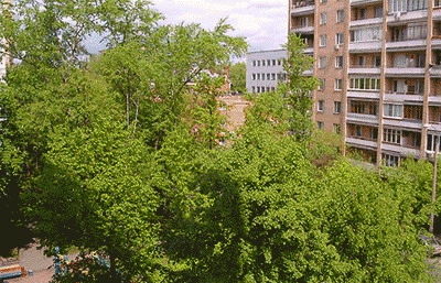 Времена года