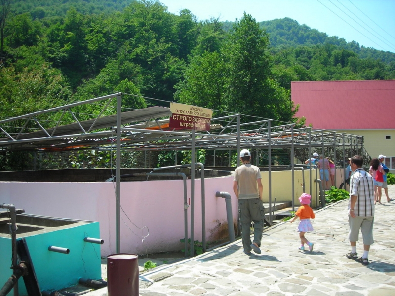 Форелевое хозяйство