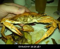 красное море