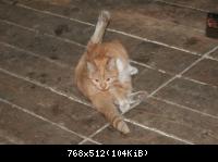 Привет Киа-Клубу!