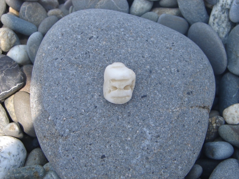 камешек-мордочка