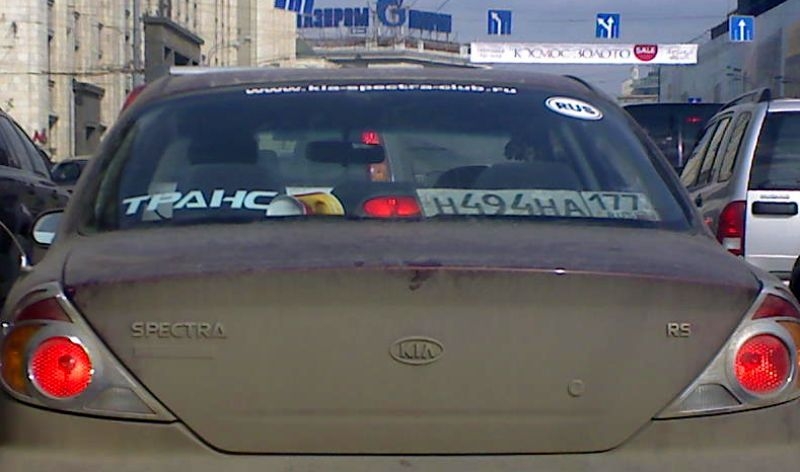 узнаем своих