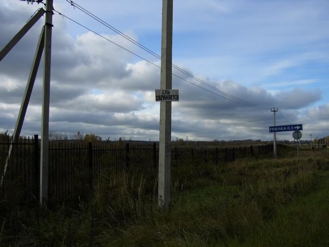 ель