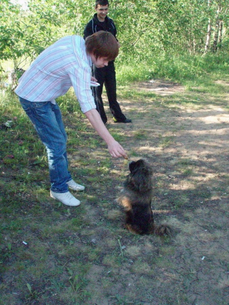 Дай мяска-то, жадина!