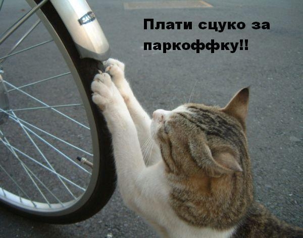 парковка
