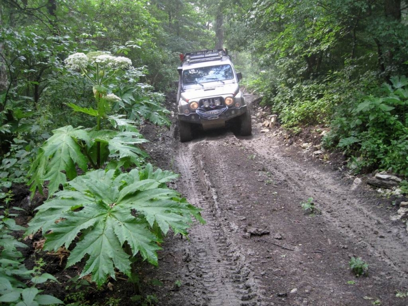 Северный Кавказ 2009