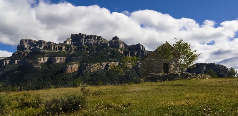 торла