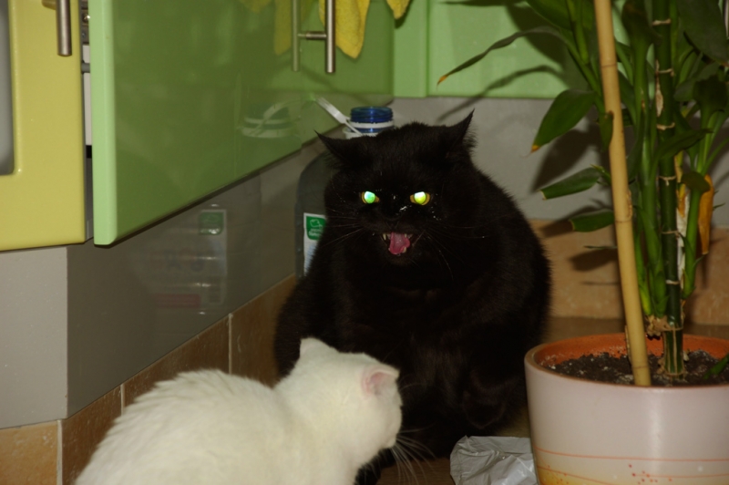 Но творог врозь!