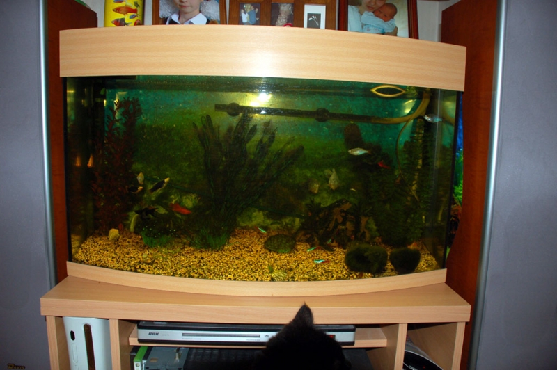 Аквариум