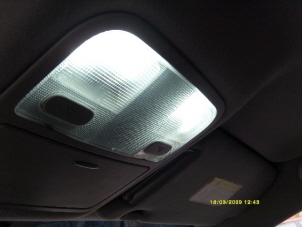 Мой Брюнет.