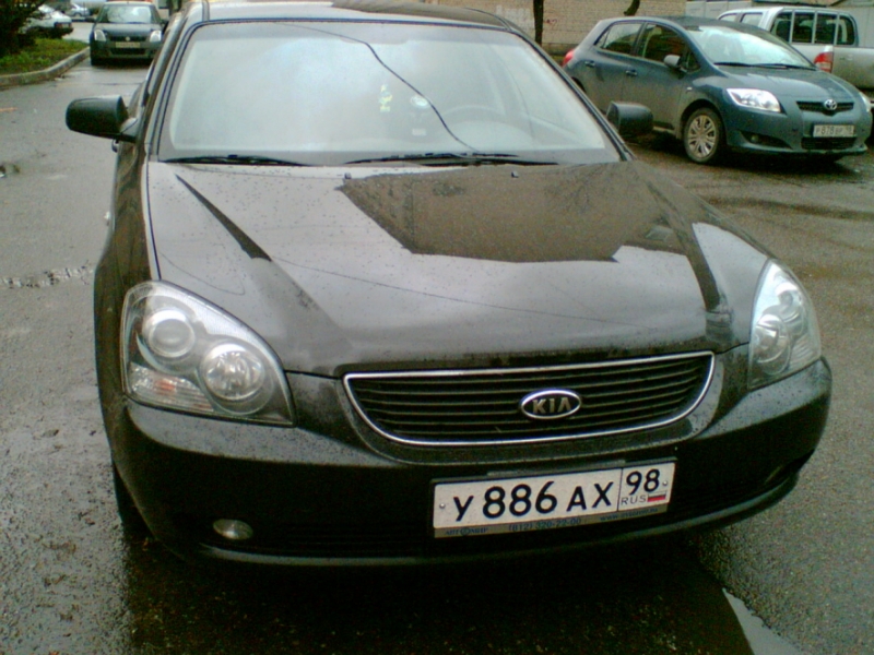 Мой Брюнет.