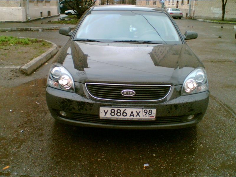 Мой Брюнет.