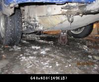 IMG 0244