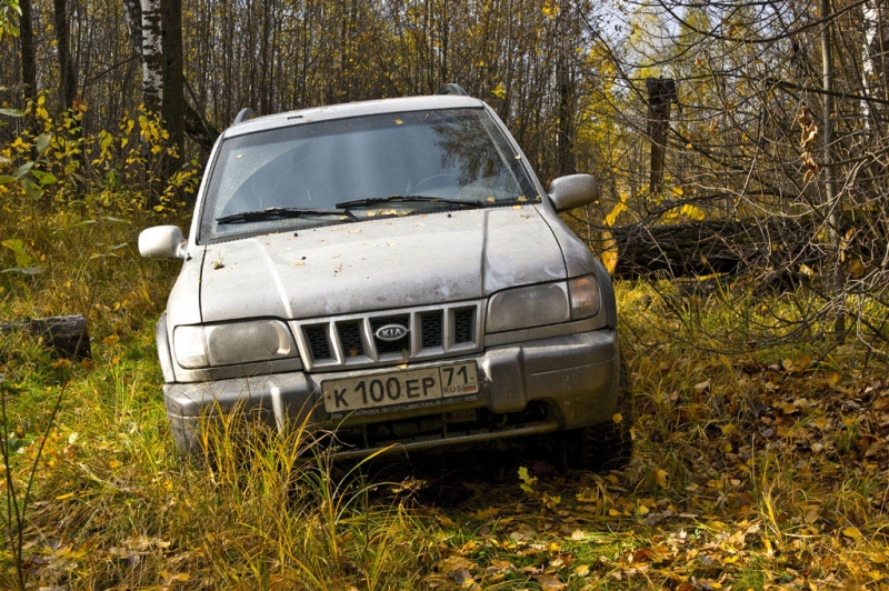 упавшее бревно распилили и поехали дальше...