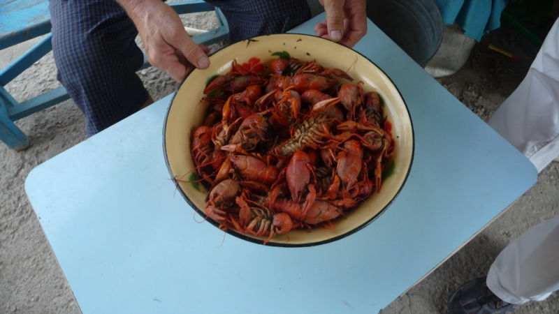 P1060545-1