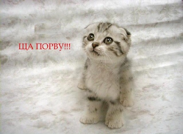 смех3