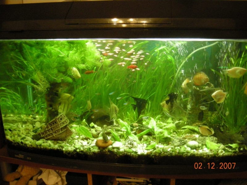 аквариум