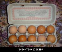Яйца-2