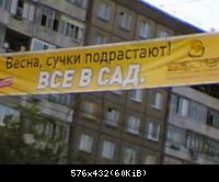 Все в сад