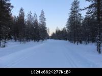 Лыжная трасса в лесу (4)