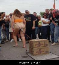 Лошадиные силы